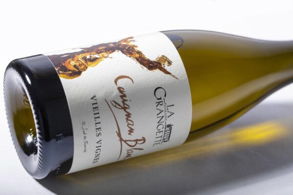 Carignan white 3