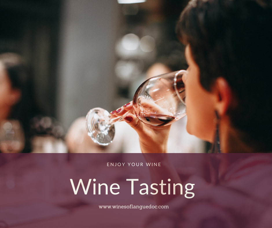 wines of languedoc_wine tasting