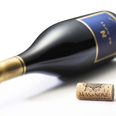 Rött vin