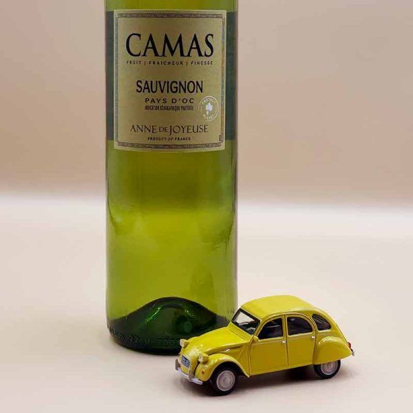 Test Camas Sauvignon - 2 - Image 3