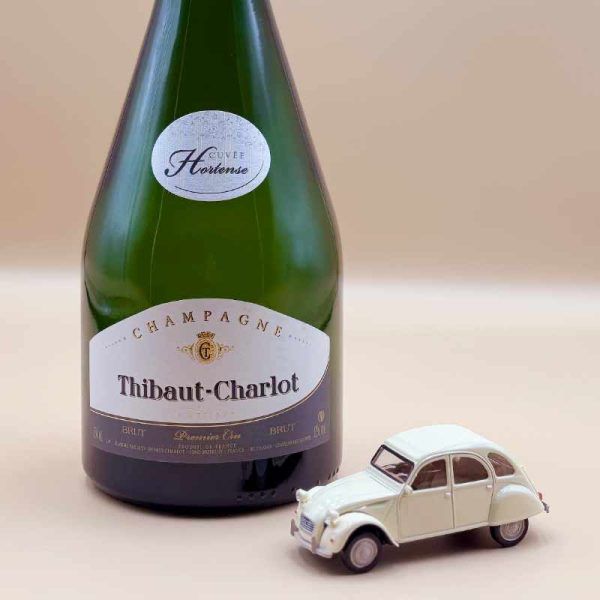 Test Thibaut-Charlot Champagne - Image 3
