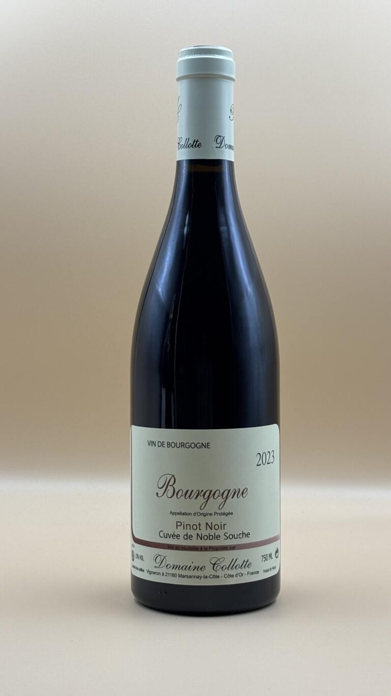 Frankrig Bourgogne Marsannay Pinot Noir Rødvin Domaine Collotte Cuvée de Noble Souche