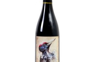 domaine-blanc-plume-le-pic-noir-igp-cotes-catalanes-2019